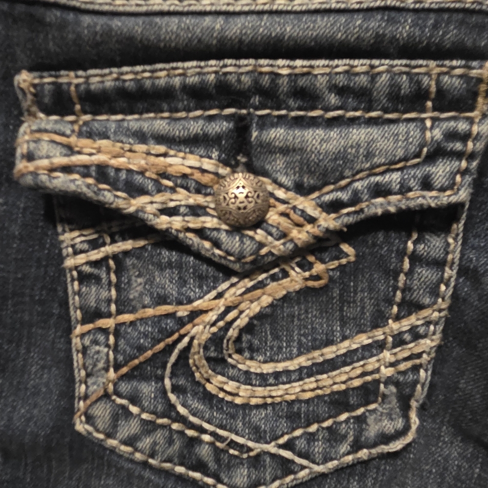 SILVER PIONEER 25×31 - Picture 5 of 13